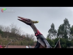 Tema Parkı Ekipmanları Gerçekçi Yaşam Boyu Dinozor Modeli Animatronik Dinozor Pterosauria Modeli