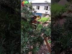 Suya Dayanıklı Dinozor Oyun Ekipmanları Dino Park İçin Animatronic Dinozor Kuklası