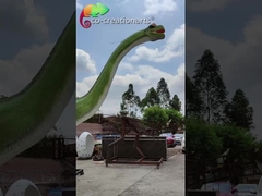 Jetonlu Simülasyon Yaşam Boyu Animatronik Dinozorlar 12m Brachiosaurus Modelleri