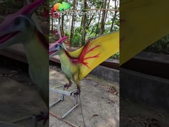ISO 110VAC Gerçekçi Dinozor Animatronic Pterosaur Oyun Ekipmanı