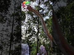 Güneşe Dayanıklı 15M Dev Animatronic Dinozor Jurassic Park Brachiosaurus Animatronic