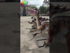 Kişiselleştirilmiş Özelleştirme Fiberglas Animatronic Replika Gerçekçi Dinozor Modeli