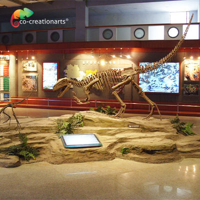 Güneşe Dayanıklı Reçine Dinozor İskeleti Gasosaurus Kafatası