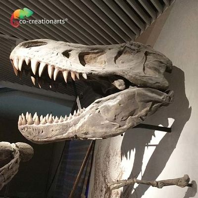 satın al CE Gerçekçi Sanatsal Dinozor İskeleti Çoğaltma T Rex İskeleti Kafası Yüksek simülasyon online manufacture