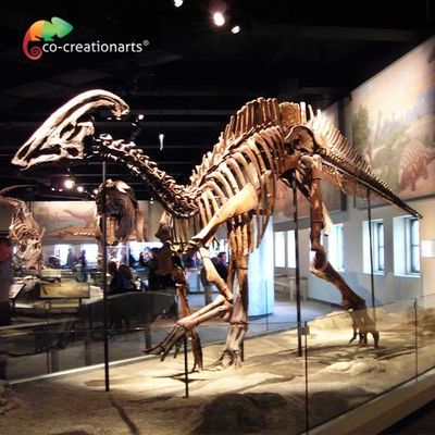 Su Yalıtımı Jurassic World Replica Parasaurolophus İskeleti 15 metre uzunluk