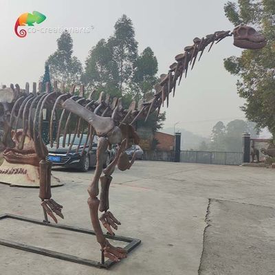 satın al CE Jurassic Park Dinozor İskeleti Replica Shunosaurus İskeleti hava direnci online manufacture