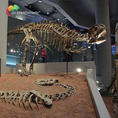 satın al landscape decoration Outdoor Yangchuanosaurus Skeleton Dinosaur Replica Fossil online manufacture