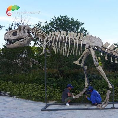 satın al uzunluk 15 m Müze Kalitesinde Dinozor Kopyaları T Rex Kafatası su tutmaz online manufacture