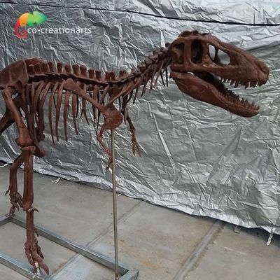 satın al Kişiselleştirilmiş özelleştirme Dinozor Kemik Kopyaları T Rex Kafatası Kopyası online manufacture