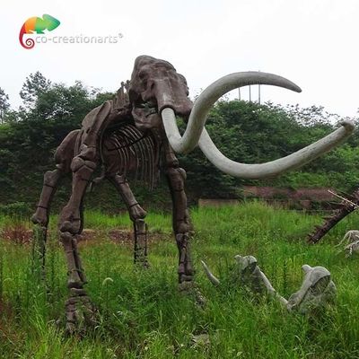 hava direnci Gerçek Boyutlu Kopya Hayvan İskeletleri Mammuthus Modeli