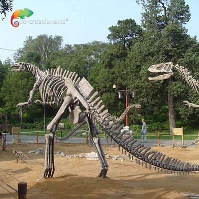 satın al Fiberglas Yaşam Boyu Dinozor Kafatası Çoğaltma Hadrosaurus İskeleti yaşlanma karşıtı online manufacture