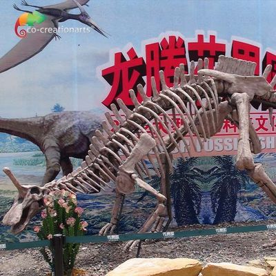 satın al Park Dekorasyonu Dinozor Fosili Kopyaları Yaşam Boyu Tsintaosaurus İskeleti Güneşe Dayanıklı online manufacture