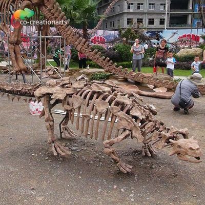 Park Dekorasyonu Dinozor İskeleti Çoğaltma Yaşam Boyu Güneş Geçirmez