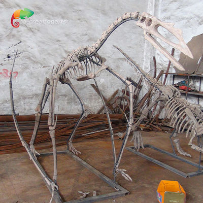 satın al Müze Sergisi Reçine Dinozor İskeleti Quetzalcoatlus İskeleti Özelleştirilebilir online manufacture
