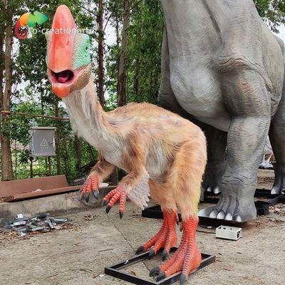 satın al Oviraptor Modeli Gerçekçi Animatronik Dinozor Yapay Dinozor Güneşe Dayanıklı online manufacture