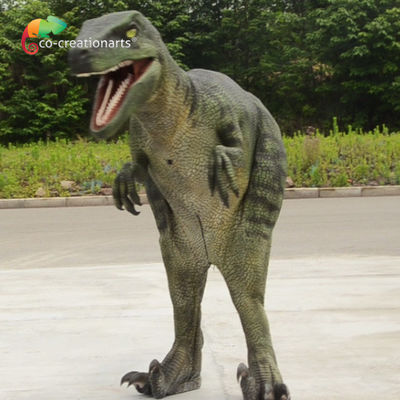 1.7m Animatronik Dinozor Velociraptor Kostümü Gerçekçi Görkemli Jurassic Sahneleri Oluşturun