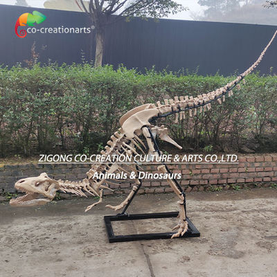İyi bir fiyat. Yüksek detaylı dış mekan dekorasyonu reçine dinozor iskeleti T-Rex iskeleti çevrimiçi