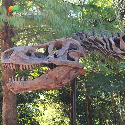 İyi bir fiyat. Hava Direnci T Rex İskelet Çoğaltma çevrimiçi