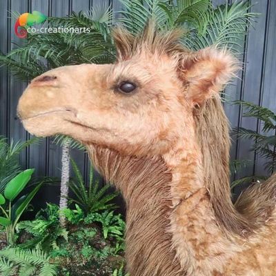 İyi bir fiyat. Yapay Gerçekçi Animatronic Hayvanlar Özel Boyutlu Deve Uzaktan Kontrollü çevrimiçi