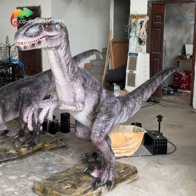 İyi bir fiyat. Gerçekçi Ses Kontrol Sistemleri Animatronik Dinsoaur Simulatio Velociraptor Sergi için çevrimiçi
